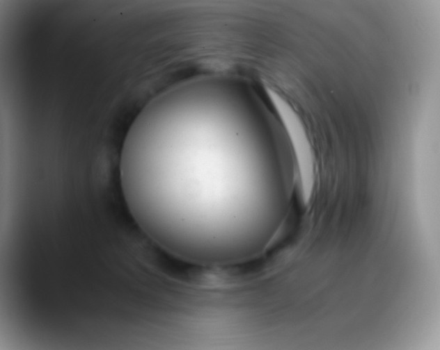 X0000089870229200707191944