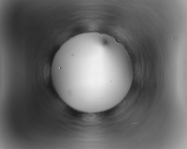 X0000089870230200707191944