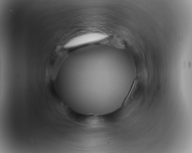 X0000089870231200707191944