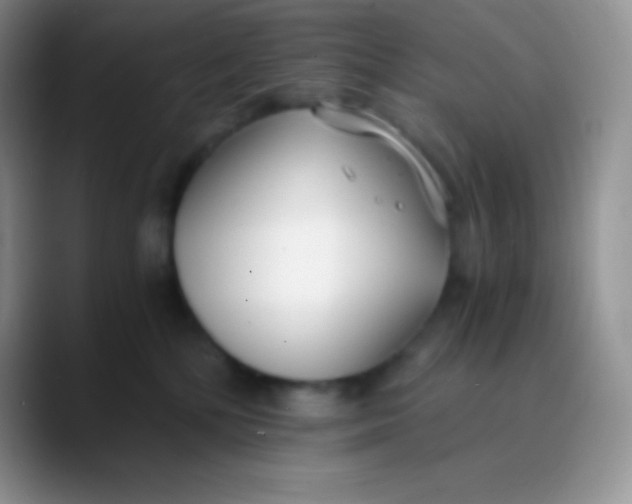 X0000089870232200707191944