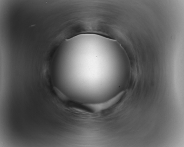 X0000089870233200707191944