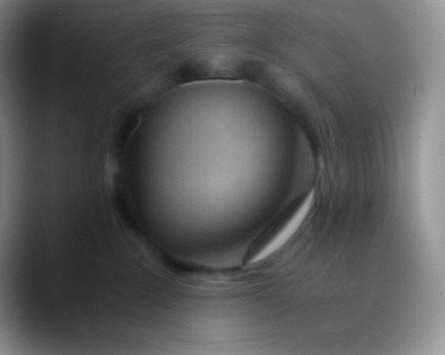 X0000089870235200707191944