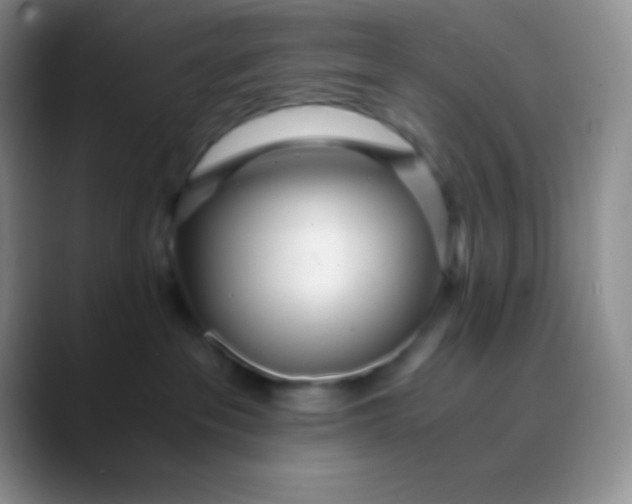 X0000089870237200707191944