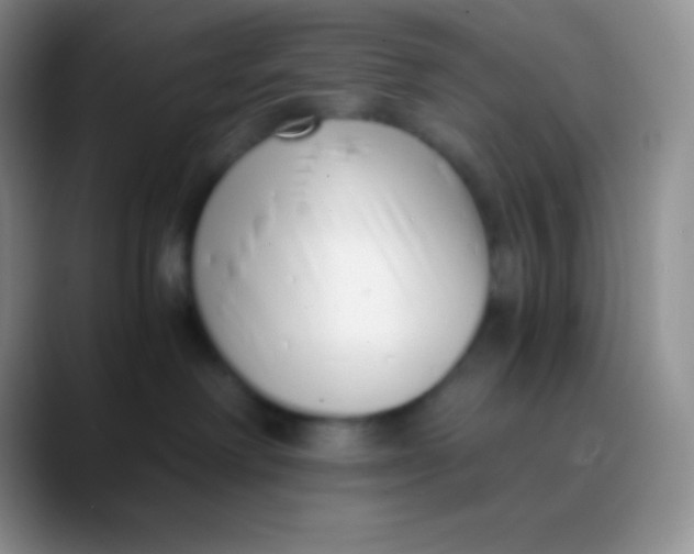 X0000089870238200707191944