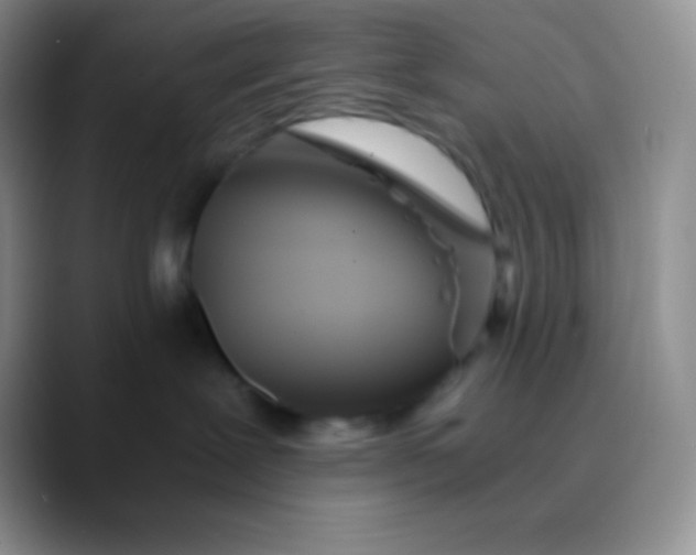 X0000089870239200707191944