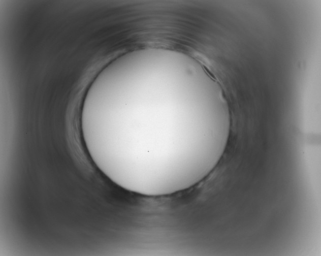 X0000089870241200707191943