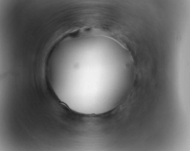 X0000089870242200707191943