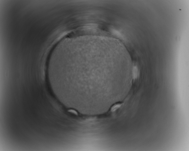 X0000089870243200707191943