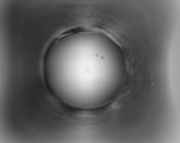 X0000089870244200707191943