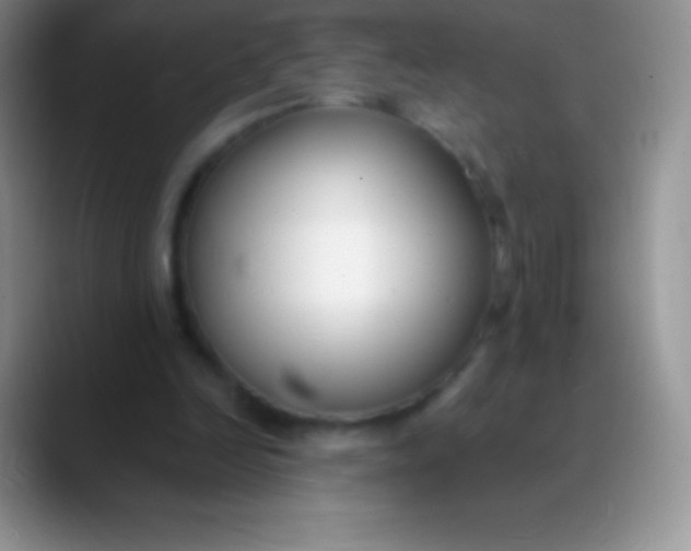 X0000089870246200707191943