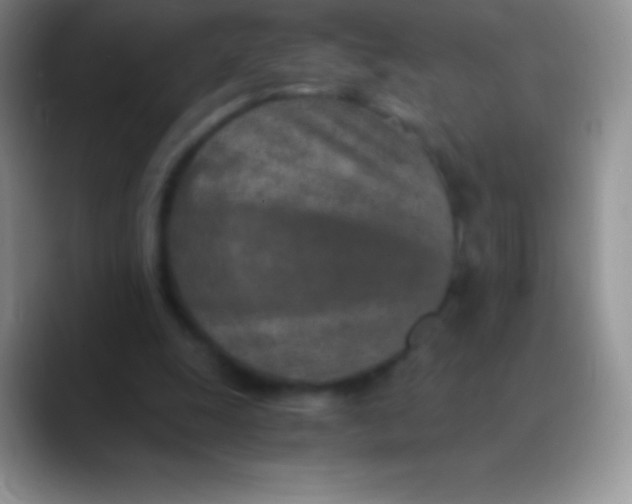 X0000089870247200707191943