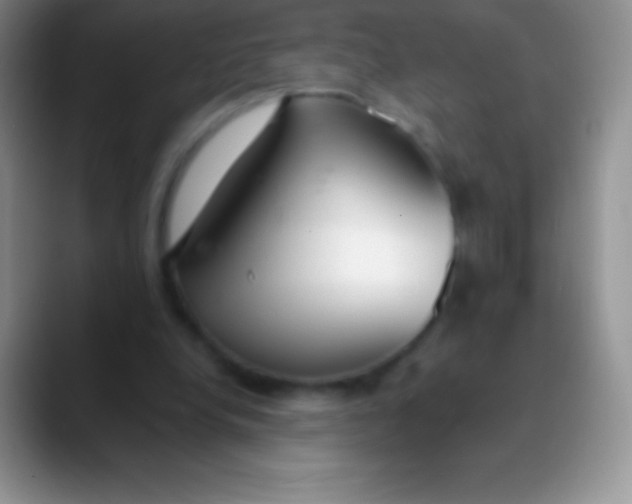 X0000089870248200707191943