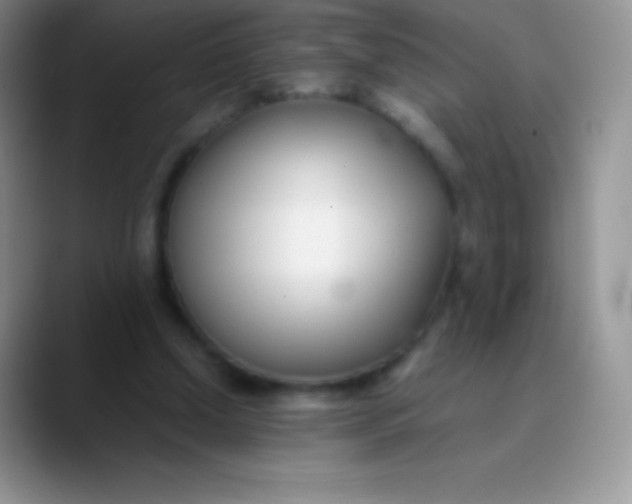 X0000089870250200707191943