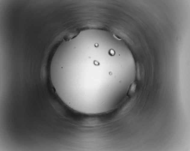 X0000089870252200707191943