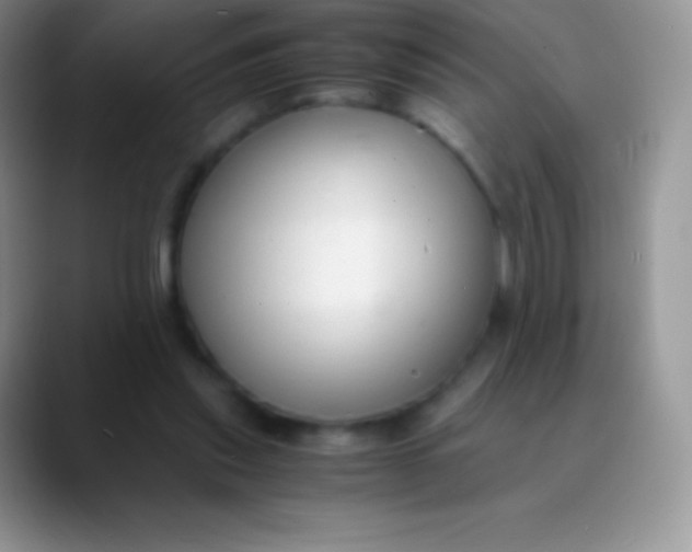 X0000089870253200707191943