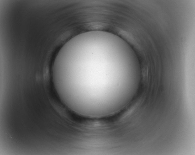 X0000089870254200707191943