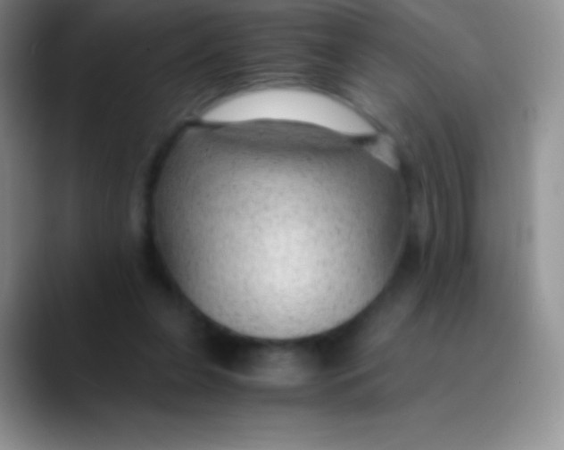 X0000089870255200707191943