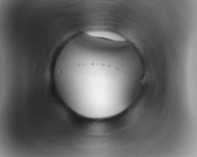 X0000089870256200707191943