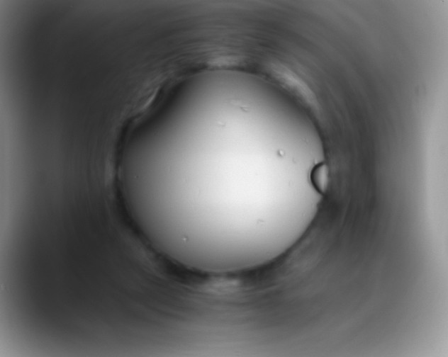 X0000089870257200707191943