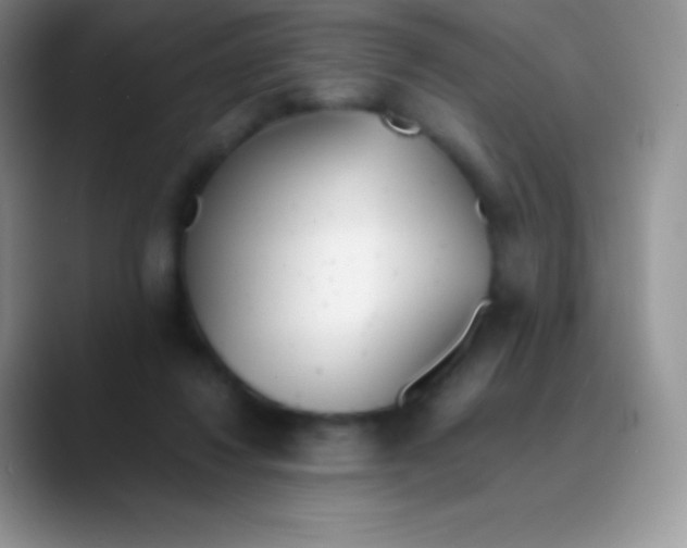 X0000089870260200707191943