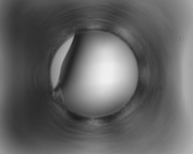 X0000089870261200707191943