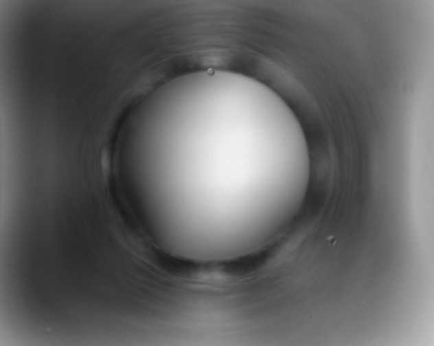 X0000089870262200707191943