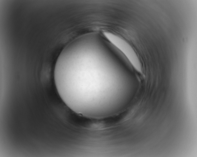 X0000089870263200707191943