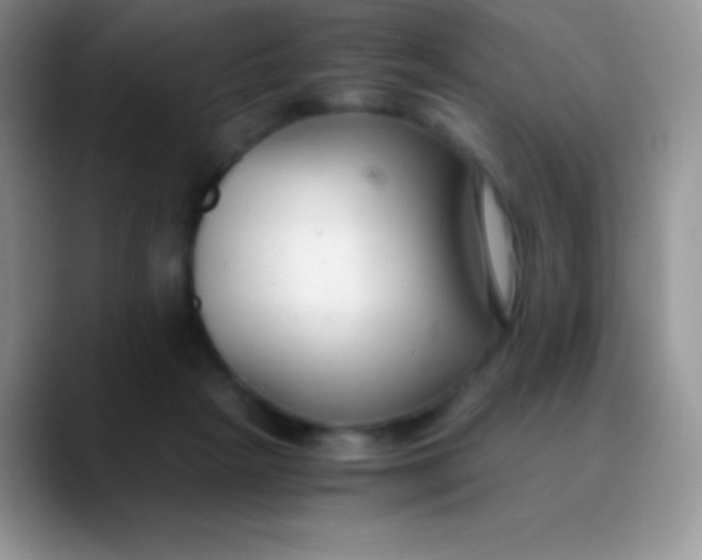 X0000089870265200707191943