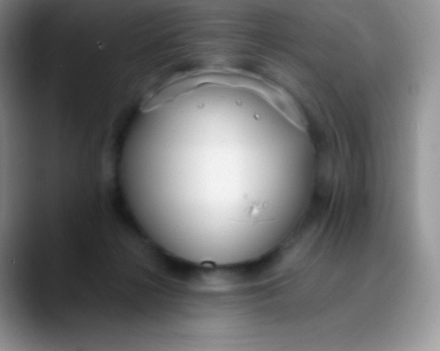 X0000089870268200707191944