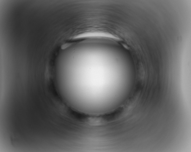 X0000089870272200707191944