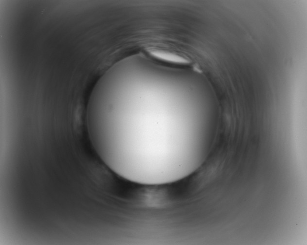 X0000089870275200707191944