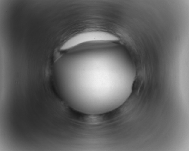 X0000089870277200707191944