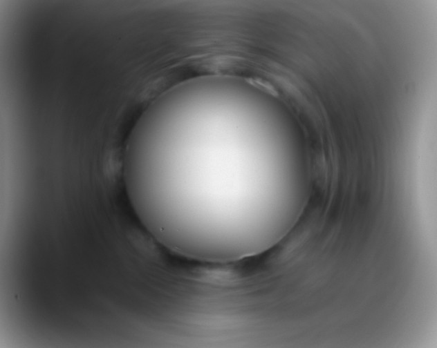 X0000089870284200707191944