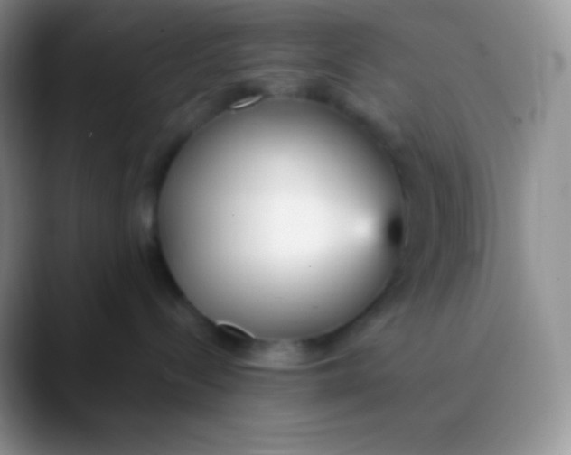 X0000089870288200707191944