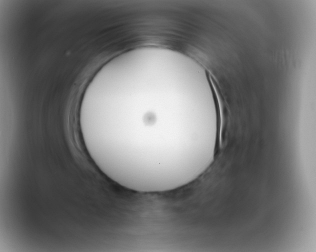 X0000089870289200707191943