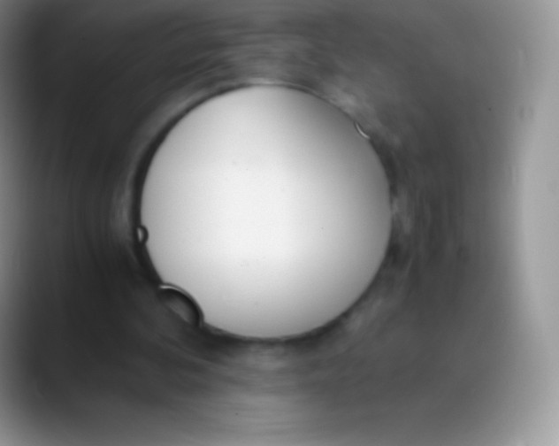 X0000089870292200707191943