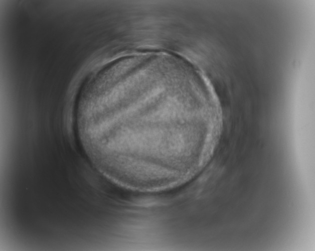 X0000089870293200707191943