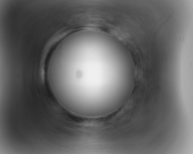 X0000089870294200707191943