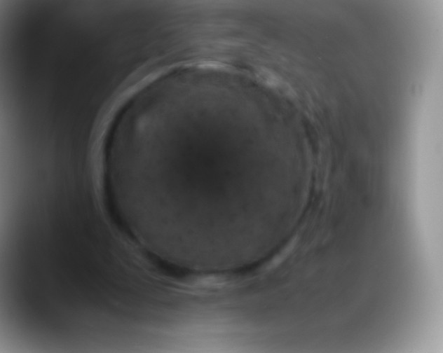 X0000089870295200707191943