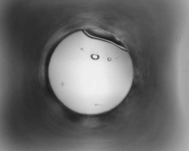 X0000089870296200707191943