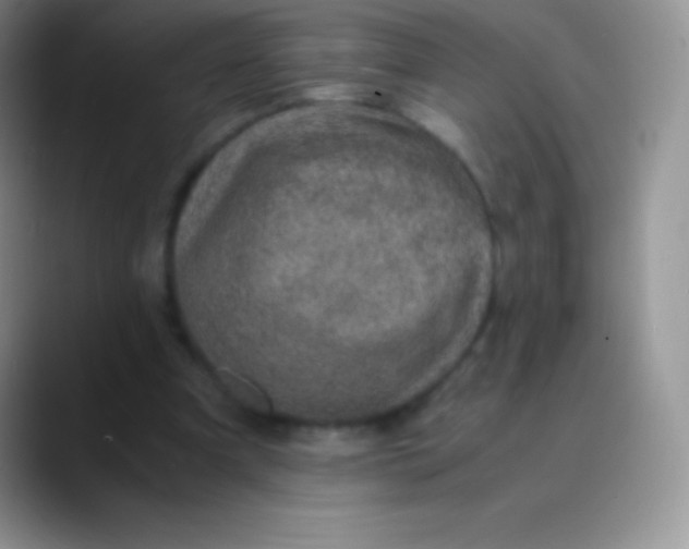 X0000089870297200707191943