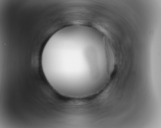 X0000089870299200707191943