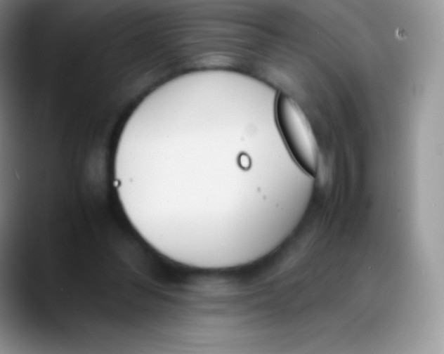 X0000089870300200707191943