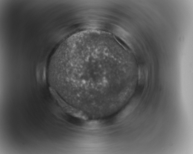 X0000089870301200707191943