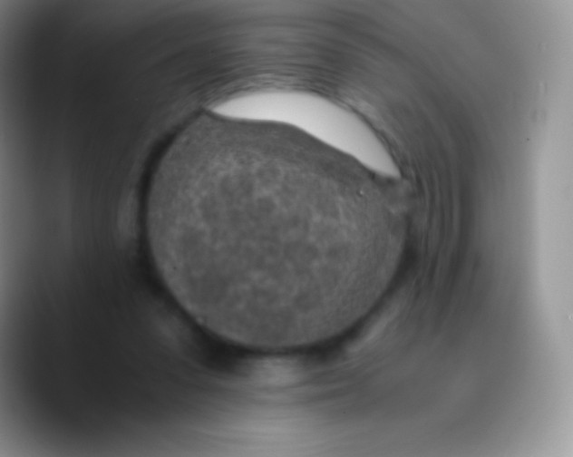 X0000089870303200707191943