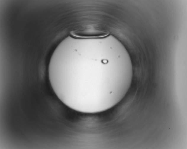 X0000089870304200707191943