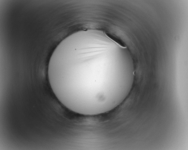 X0000089870305200707191943