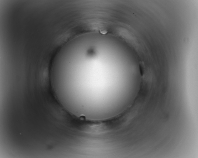 X0000089870306200707191943