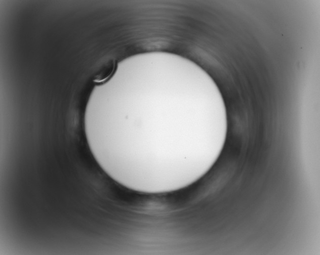 X0000089870308200707191943