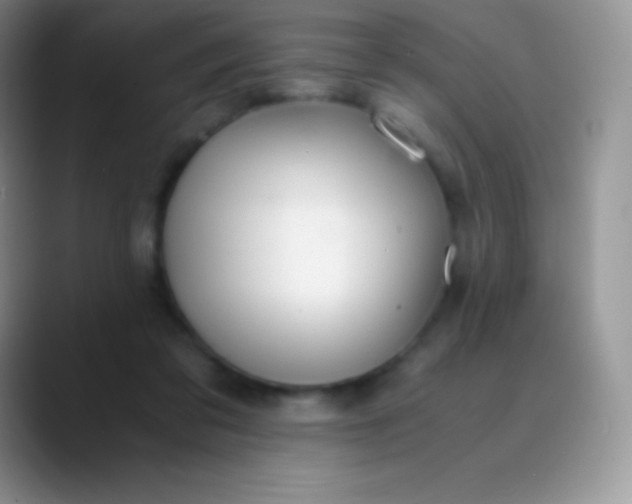 X0000089870309200707191943